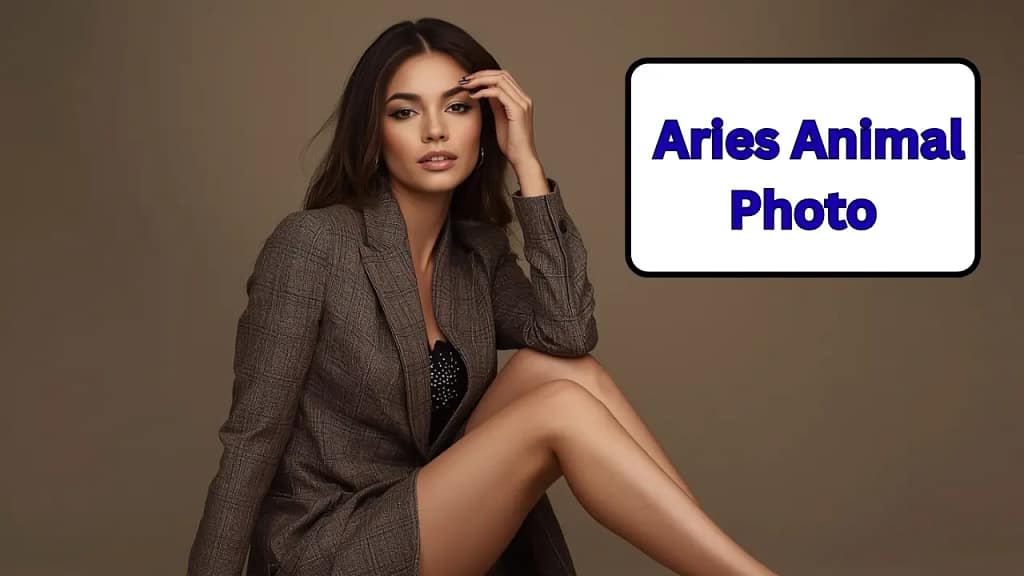 Aries Animal Photo